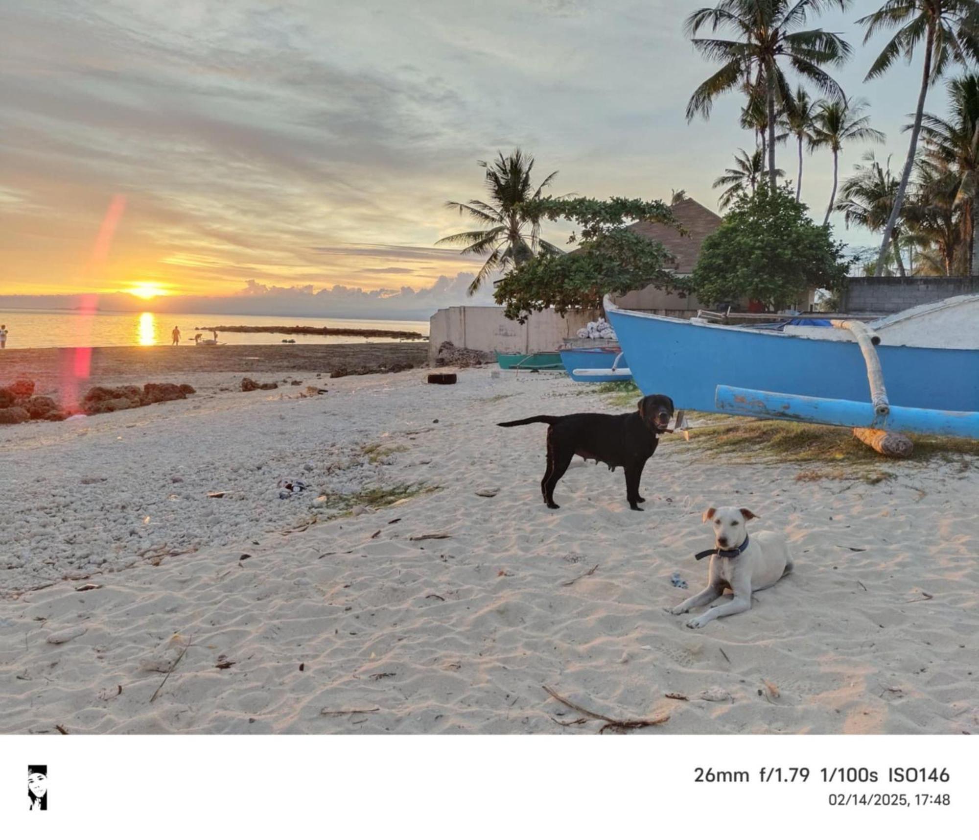 Kobe'S Beachfront Haven Siquijor Εξωτερικό φωτογραφία